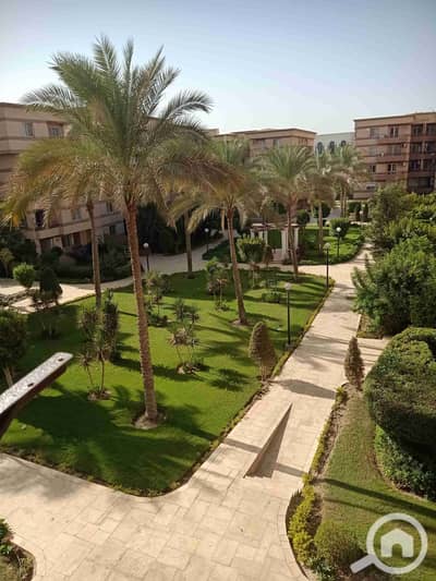 3 Bedroom Apartment for Sale in New Cairo, Cairo - 1000184566. jpg