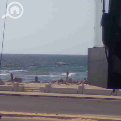 2 Bedroom Apartment for Rent in Miami, Alexandria - 1000216017. jpg