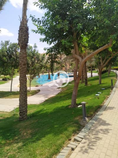 بنتهاوس 3 غرف نوم للبيع في القطامية، القاهرة - 11cabf6d-36af-4e18-9500-ed7bd901ef67. jfif. jpg