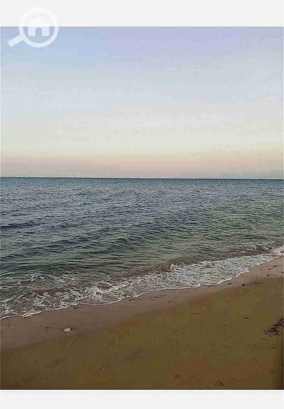3 Bedroom Chalet for Rent in Ain Sukhna, Suez - 1000570295. jpg