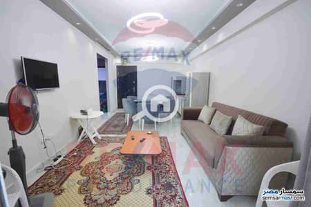 3 Bedroom Apartment for Rent in Zezenia, Alexandria - 1000044095. jpg