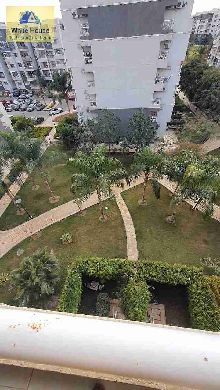 1000653335. jpg
