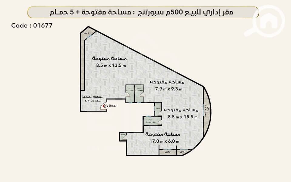 2 1677 (5). jpg