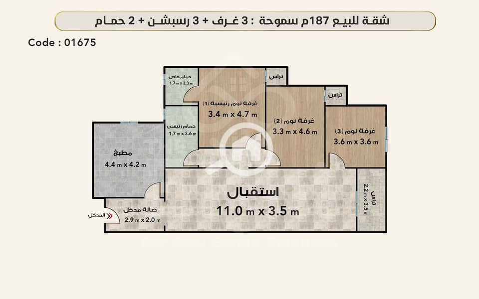 5 (4) 01675 (1). png