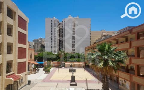 3 Bedroom Apartment for Sale in Roushdy, Alexandria - (1) WhatsApp Image 2025-07-19 at 5.41. 37 PM (4). jpg