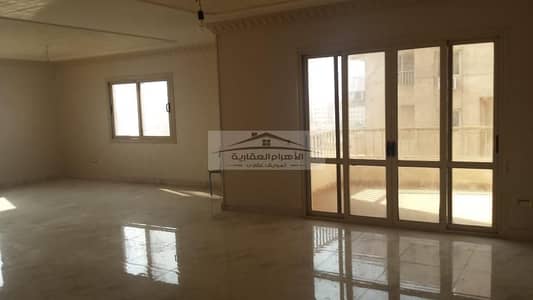 Office for Rent in Nasr City, Cairo - WhatsApp Image 2025-01-22 at 1.47. 59 AM. jpeg