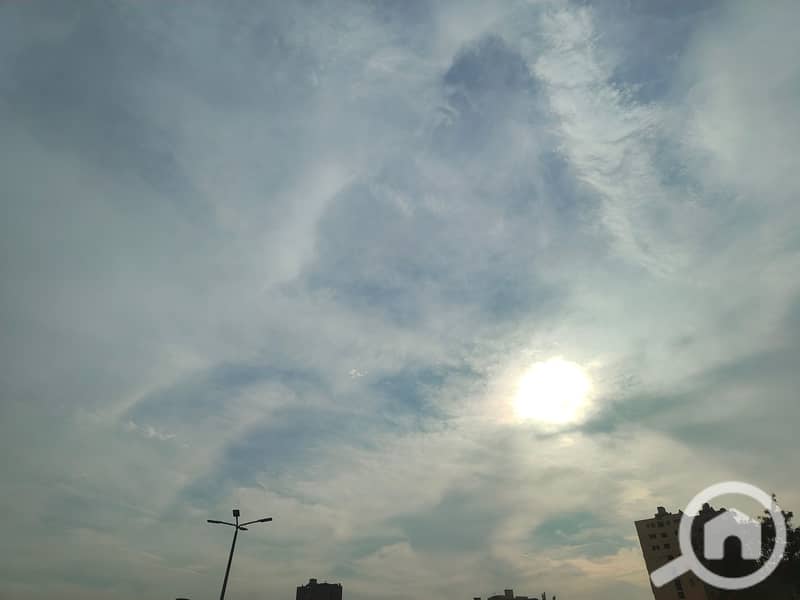IMG20250116150105. jpg