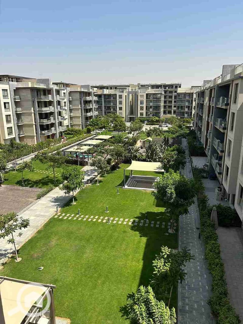 2 1000817461. jpg