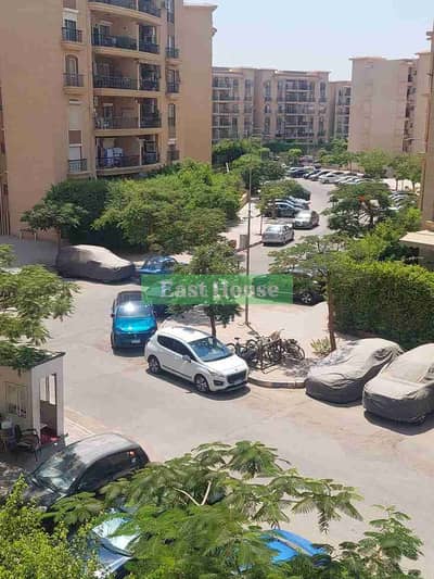 3 Bedroom Flat for Rent in New Cairo, Cairo - 1000544140. jpg