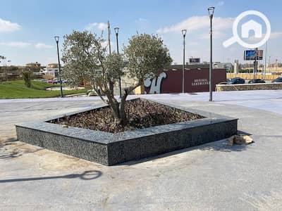 مکتب  للايجار في الشيخ زايد، الجيزة - 2021-10-20 (2). jpg