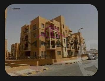 9 WhatsApp Image 2025-08-23 at 05.01. 16_ede151e1. jpg
