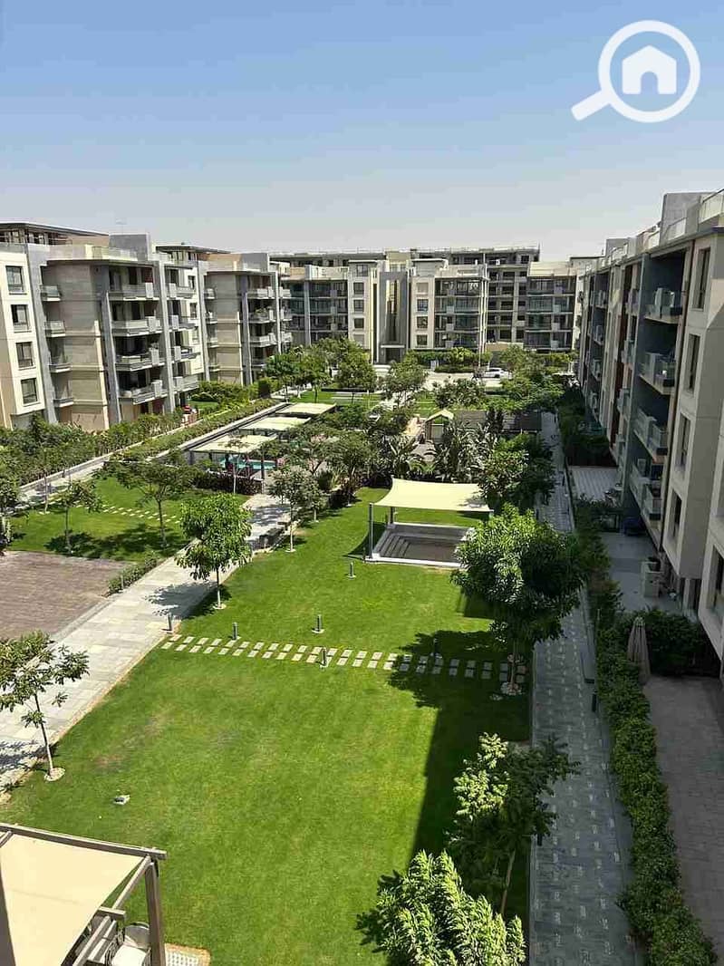 5 1000817461. jpg