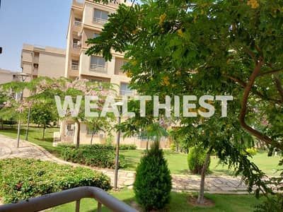 Studio for Rent in Madinaty, Cairo - IMG-20250823-WA0011. jpg