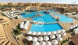 10 تنزيل (1). jpg