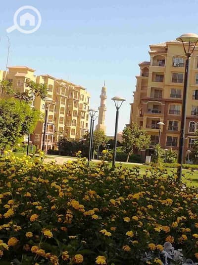 فلیٹ 3 غرف نوم للايجار في القاهرة الجديدة، القاهرة - 1000044277. jpg