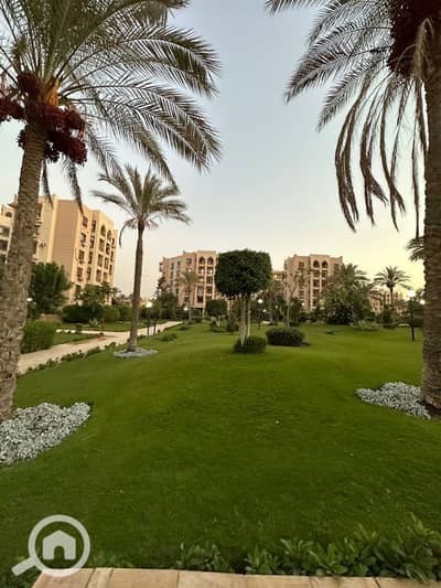 فلیٹ 2 غرفة نوم للايجار في القاهرة الجديدة، القاهرة - WhatsApp Image 2023-09-16 at 4.11. 46 AM. jpeg