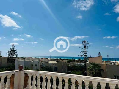شاليه 3 غرف نوم للايجار في الساحل الشمالي، مطروح - IMG-20250806-WA0035. jpg