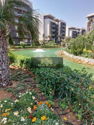 3 Bedroom Flat for Rent in Madinaty, Cairo - WhatsApp Image 2025-08-18 at 16.02. 41_286bf498. jpg