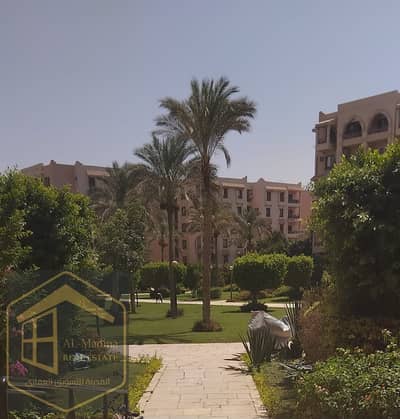 2 Bedroom Apartment for Rent in New Cairo, Cairo - WhatsApp Image 2025-08-23 at 12.38. 06. jpeg