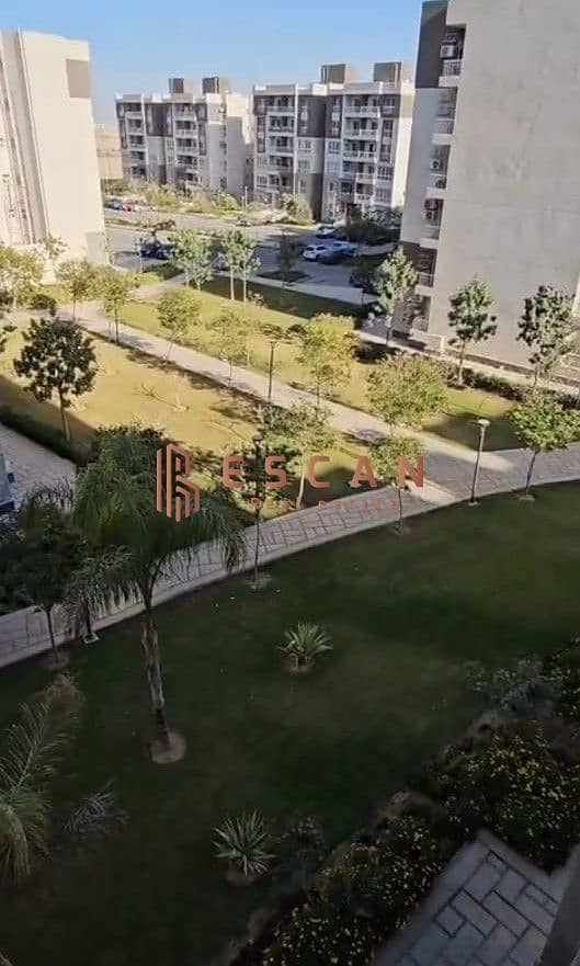 2 U259653. jpg
