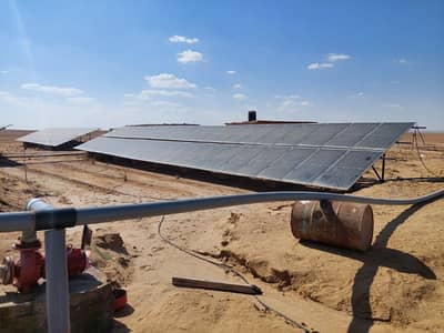 Agricultural for Sale in North Coast, Matruh - للبيع كلي أو جزئي مزرعة 238 فدان بالمغرة (طريق الضبعة)