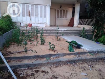 Retail for Rent in Heliopolis, Cairo - WhatsApp Image 2025-08-24 at 2.10. 11 AM. jpeg