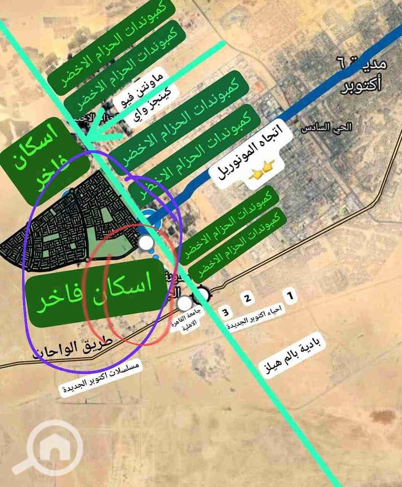 3 1000063097. jpg