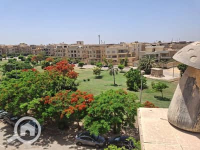 سطج 3 غرف نوم للايجار في القاهرة الجديدة، القاهرة - شقه روف للايجار في النرجس فيلات