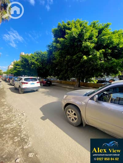 صيدليه  للبيع في رشدي، الإسكندرية - للبيع صيدليه مجهزه بالكامل في رشدي شارع المعسكر الروماني