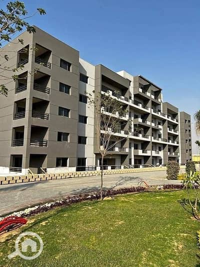 3 Bedroom Flat for Sale in Sheraton, Cairo - WhatsApp Image 2025-08-21 at 14.16. 25_1a1abd02. jpg