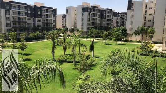 2 Bedroom Flat for Rent in Madinaty, Cairo - WhatsApp Image 2025-08-24 at 12.33. 31_d674a89e. jpg