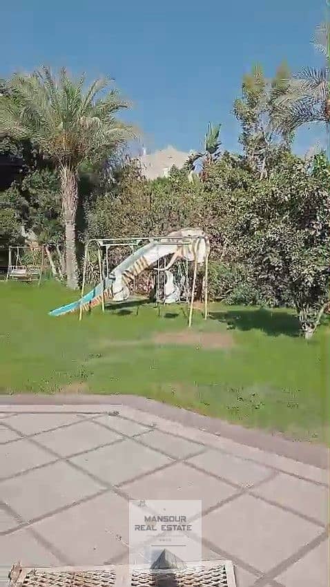 7 WhatsApp Video 2025-05-22 at 15.52. 51_Moment8. jpg