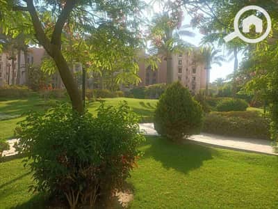 1 Bedroom Flat for Rent in New Cairo, Cairo - 1000044602. jpg