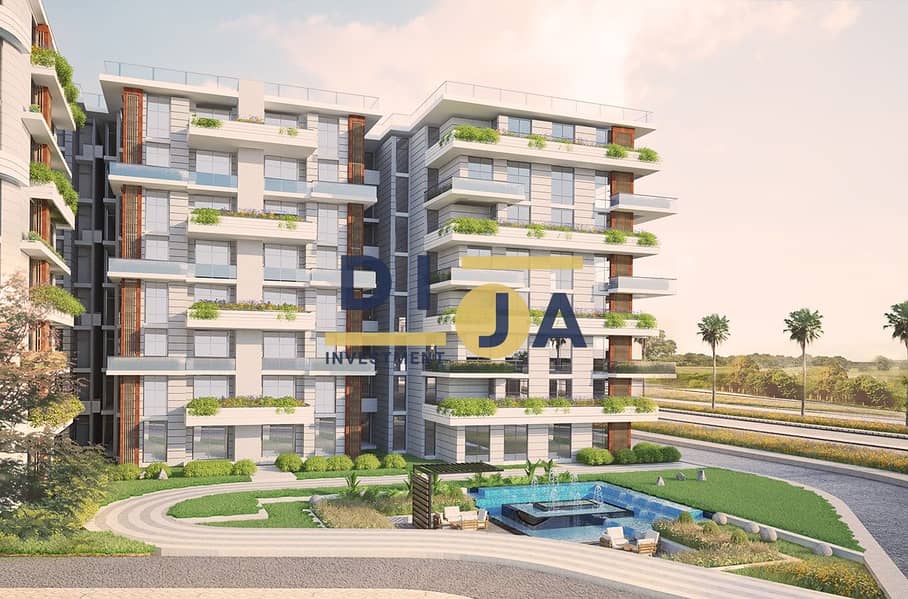 11 dejoya-2-26. jpg