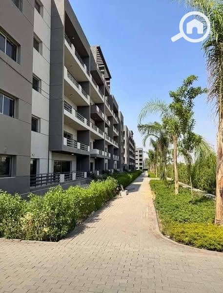 6 1d879bc7-2f06-42e8-bdb9-1ec67568809a. jpg