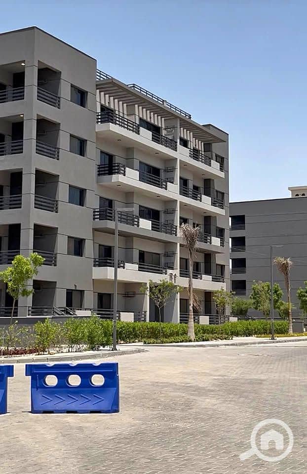 12 520144735_1054211820134156_1404467897063167494_n. jpg