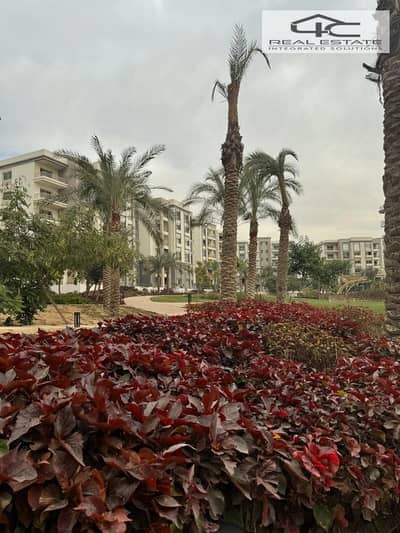 3 Bedroom Apartment for Sale in New Cairo, Cairo - WhatsApp Image 2023-12-08 at 3.49. 32 PM (2). jpeg