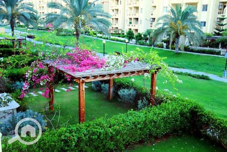 شاليه 3 غرف نوم للايجار في الساحل الشمالي، مطروح - شاليه مميز ثلاث غرف مكيف بالكامل قدام البول في استيلا هايتس