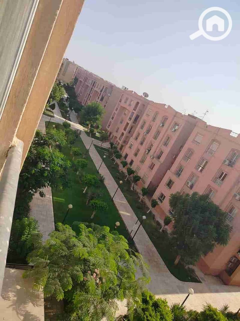 1001380778. jpg