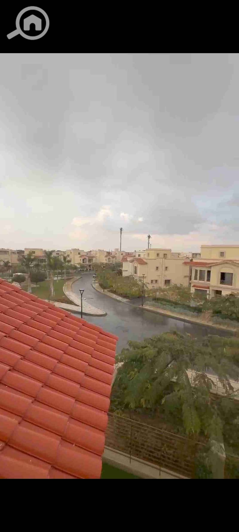 20 1000564065. jpg