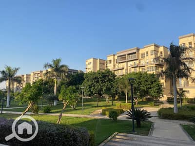 3 Bedroom Apartment for Sale in Madinaty, Cairo - 16eeaf6c-3d34-4c0e-bfb7-05effc79b89f. jpg