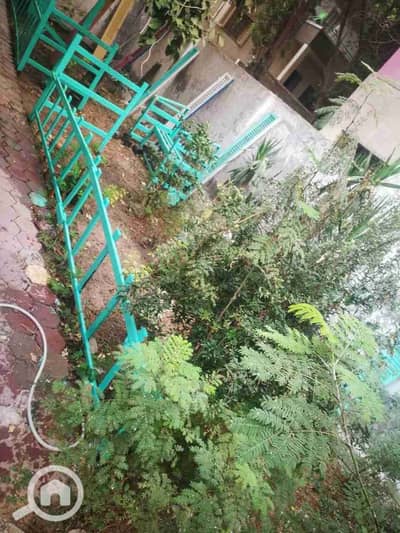 شقة 3 غرف نوم للايجار في المعادي، القاهرة - IMG-20250823-WA0065. jpg