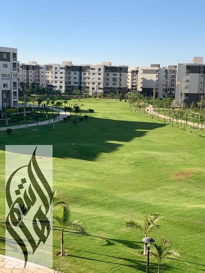 3 Bedroom Flat for Rent in Madinaty, Cairo - WhatsApp Image 2025-08-24 at 7.13. 56 PM (1). jpeg