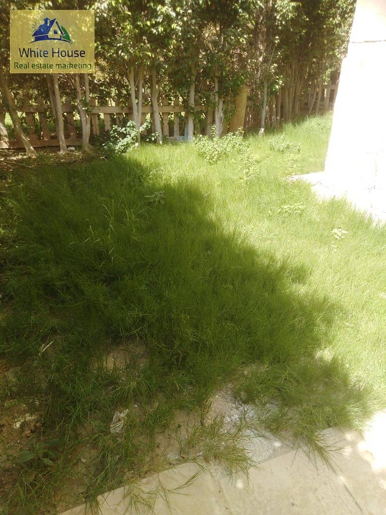 2 WhatsApp Image 2025-08-24 at 5.48. 04 PM. jpeg