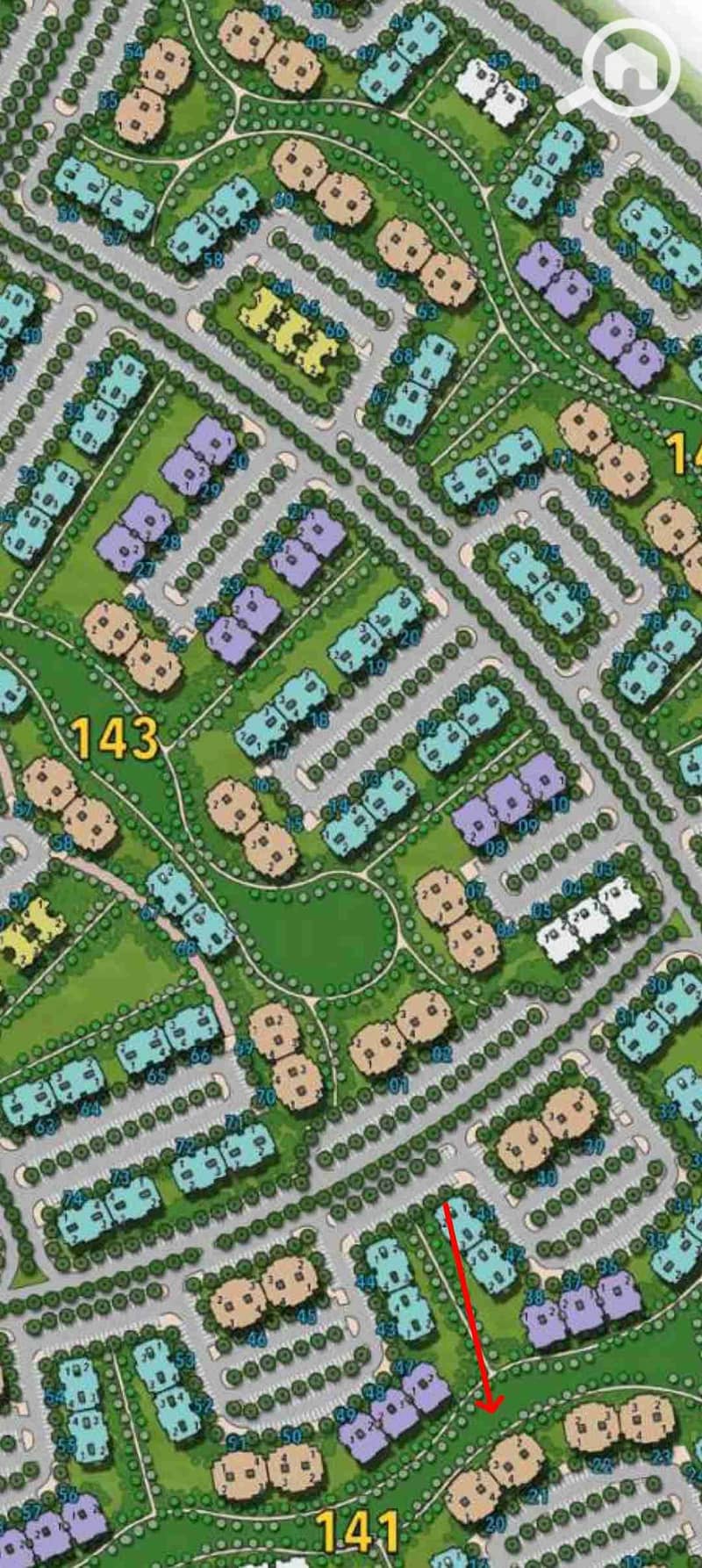7 1000371980. jpg
