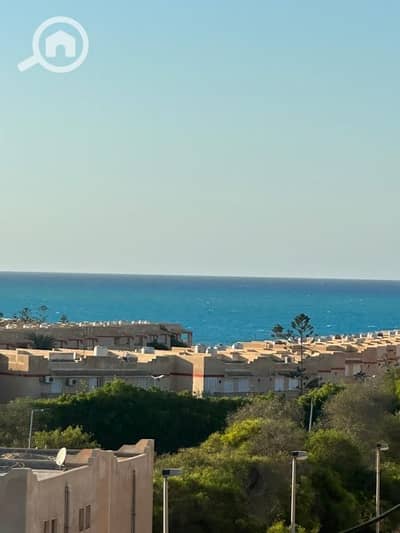 استوديو  للايجار في الساحل الشمالي، مطروح - استديو لإيجار بالساحل الشمالي في قريه اللوتس يري بحر بجور منطقه النزول