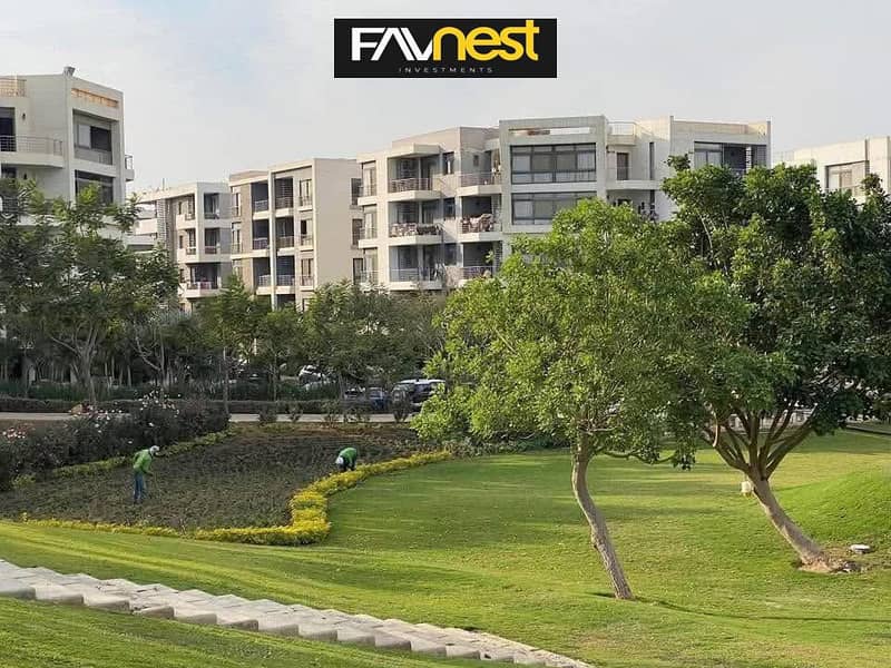 3 WhatsApp Image 2025-08-14 at 22.30. 18_a60fa4fd. jpg