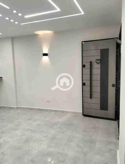 5 Bedroom Penthouse for Sale in Hadayek October, Giza - 1000519549. jpg