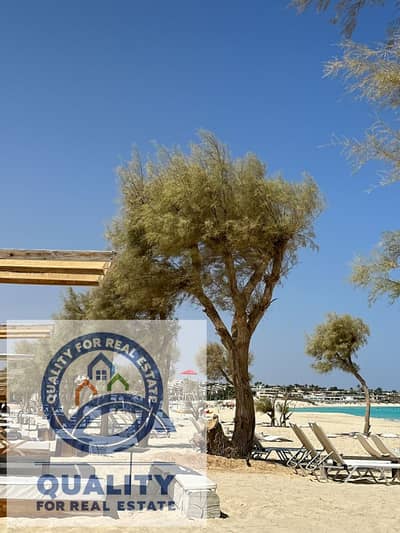 2 Bedroom Chalet for Sale in North Coast, Matruh - 6. jpg