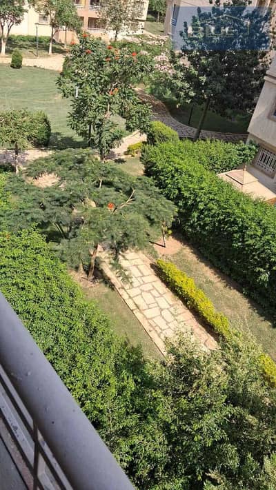 فلیٹ 3 غرف نوم للايجار في مدينتي، القاهرة - 6dd98001-565f-4488-aa43-c662edb53983. jpg